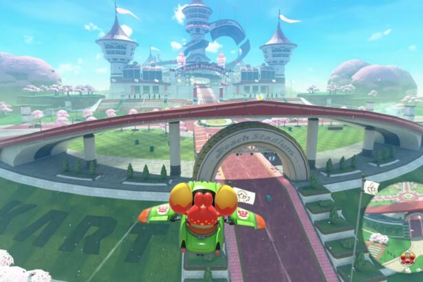Free Roam Mario Kart World